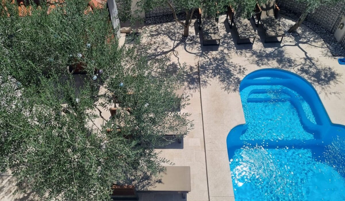 WhatsApp Image 2023-08-28 at 08.09.17 (1)